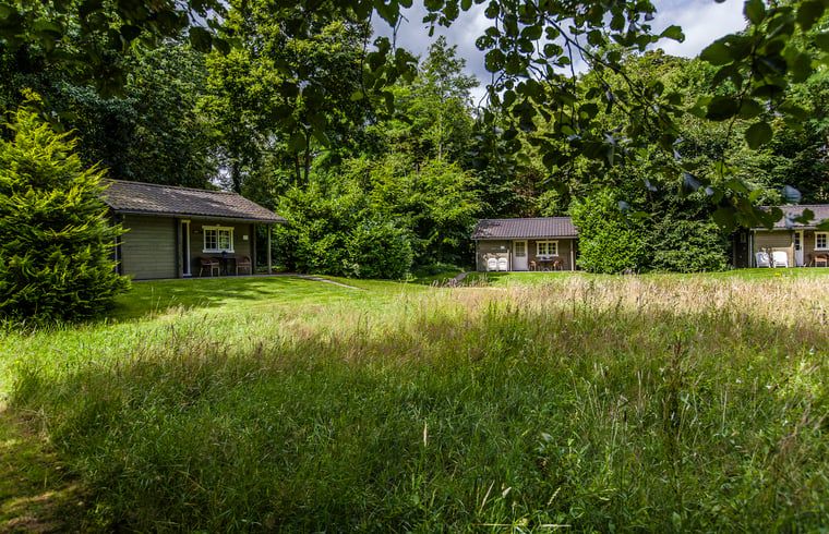 Verblijf 230338 - Vakantiewoning Friese bossen - Huisje in Appelscha