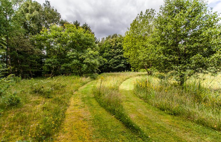 Verblijf 230338 - Vakantiewoning Friese bossen - Huisje in Appelscha