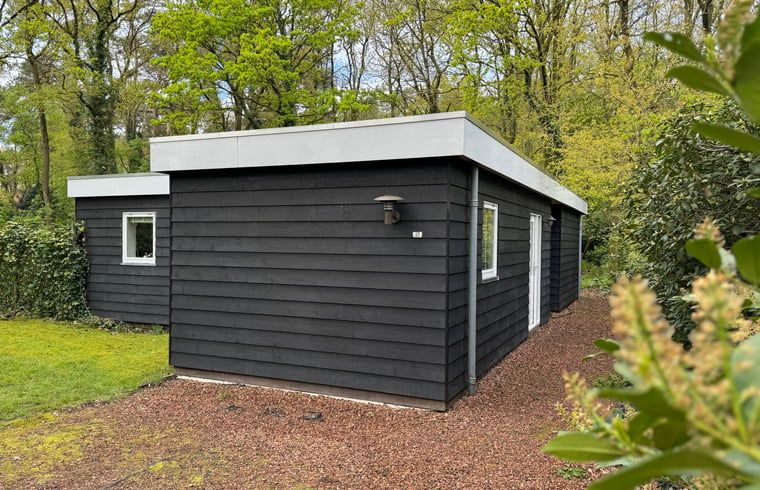 Huisje in Appelscha, een charmant vakantiehuis in de Friese bossen van Friesland, omgeven door groen.