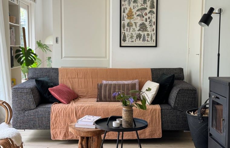 Huisje in Appelscha, vakantiehuis in Friese bossen, met comfortabele woonkamer en decoratieve elementen.