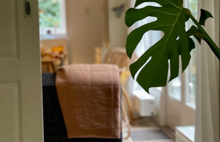 Lichte woonkamer in Huisje in Appelscha, vakantiehuis in Friese bossen, met grote ramen en groen uitzicht.