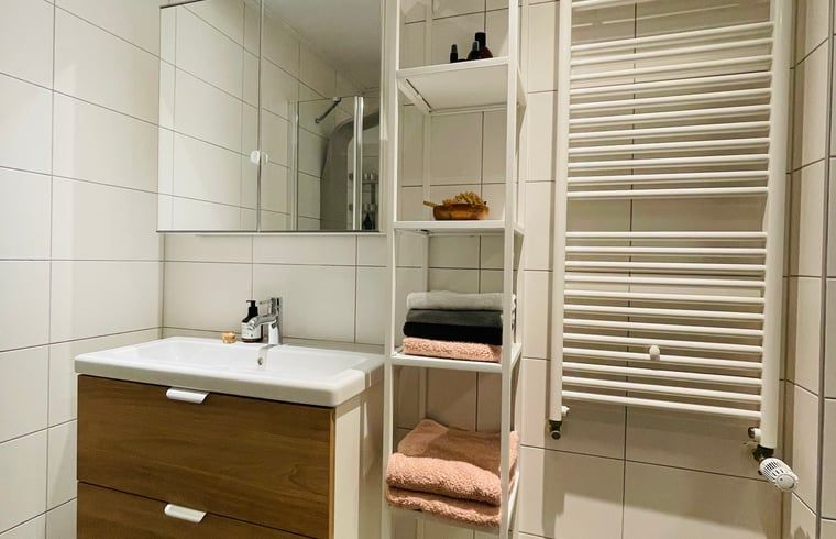 Moderne badkamer in Huisje in Appelscha, vakantiehuis in Friesland, met ruime wastafel.