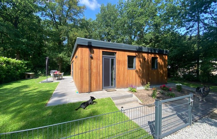 Ferienhaus in Appelscha, umgeben von friesischen Waeldern in Friesland, mit gruenem Garten und einladender Terrasse.