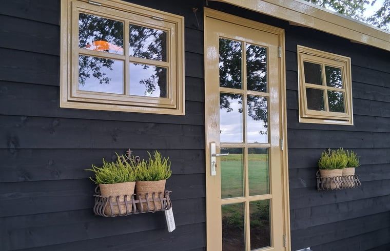 Unterkunft 230413 - Ferienhaus Friese bossen - Huisje in Oldeberkoop