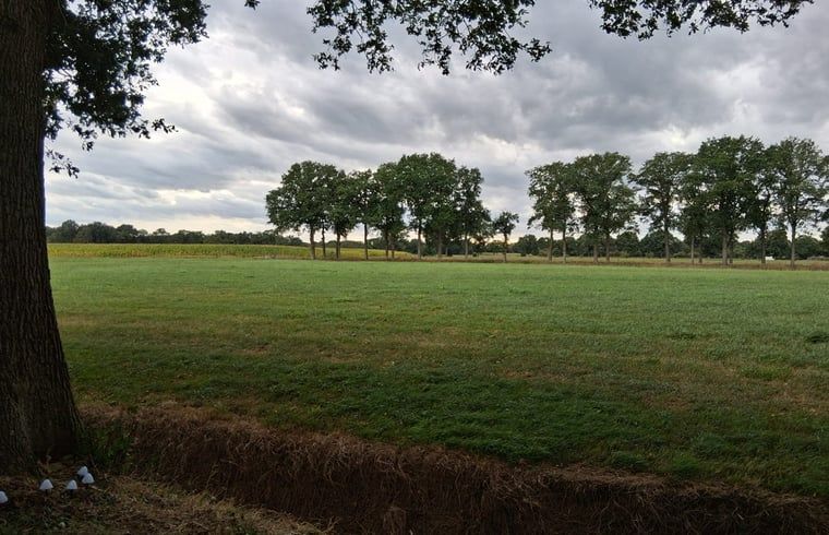Unterkunft 230413 - Ferienhaus Friese bossen - Huisje in Oldeberkoop