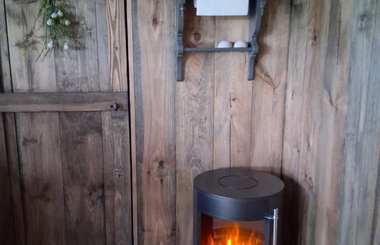 Unterkunft 230413 - Ferienhaus Friese bossen - Huisje in Oldeberkoop