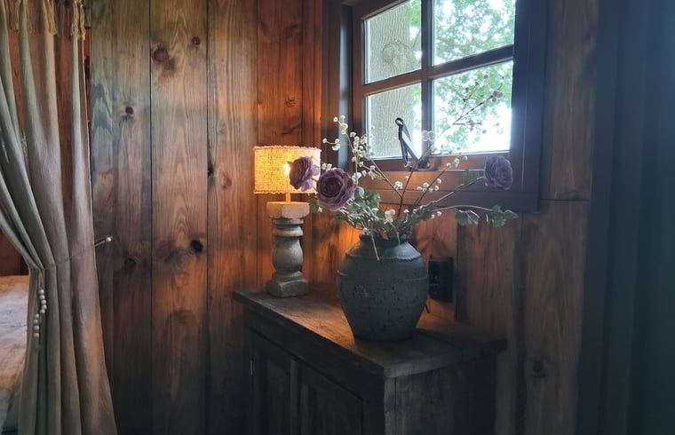 Unterkunft 230413 - Ferienhaus Friese bossen - Huisje in Oldeberkoop