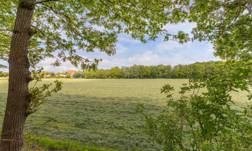 Verblijf 230415 - Vakantiewoning Friese bossen - Vakantiehuis