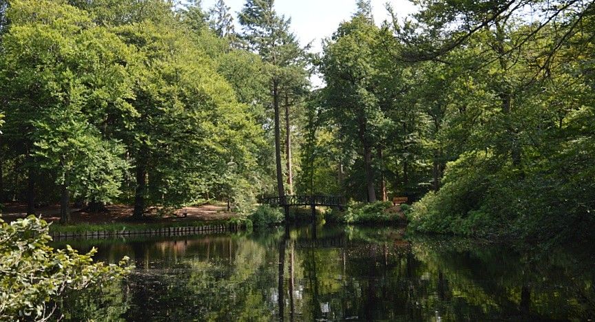 Verblijf 230415 - Vakantiewoning Friese bossen - Vakantiehuis