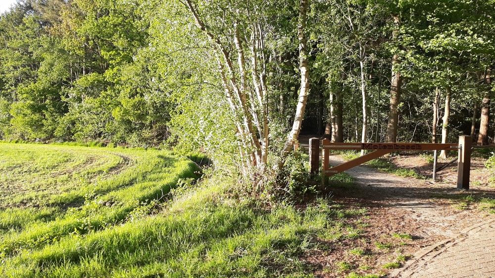 Verblijf 230415 - Vakantiewoning Friese bossen - Vakantiehuis