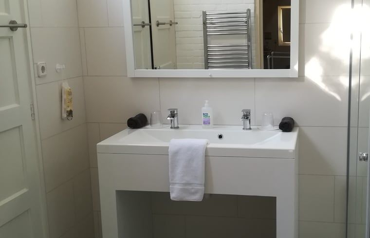 Stijlvolle wastafel in de badkamer van Vakantiehuisje in Ruigahuizen, Friese bossen, Friesland.