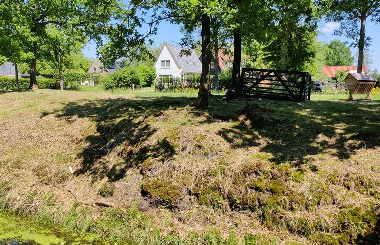 Groene omgeving rondom Vakantiehuisje in Ruigahuizen, perfect voor natuurliefhebbers in Friesland.