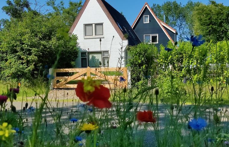 Schilderachtig Vakantiehuisje in Ruigahuizen met bloemenweelde in de Friese bossen, Friesland.