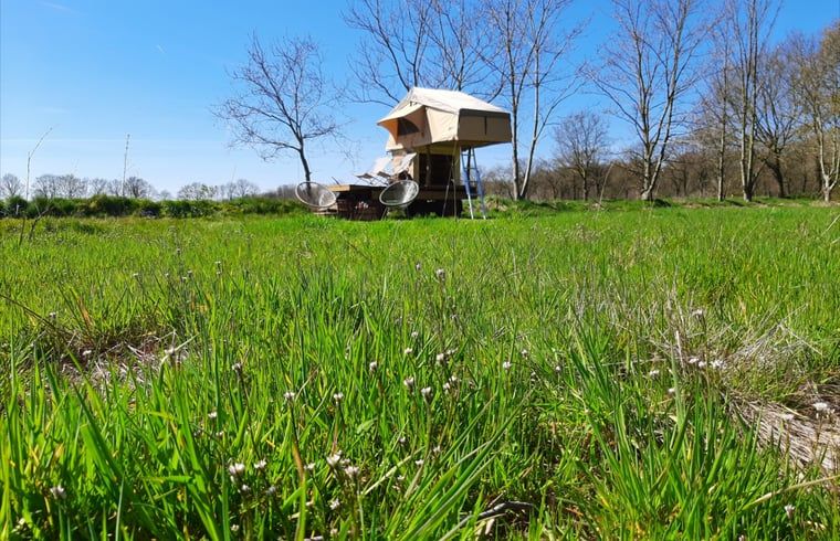Unterkunft 230603 - Ferienhaus Friese bossen - Vakantiehuis in Siegerswoude