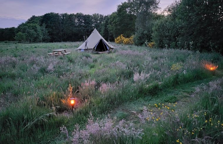 Unterkunft 230605 - Ferienhaus Friese bossen - Huisje in Siegerswoude