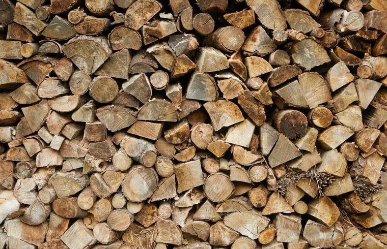 Unterkunft 230605 - Ferienhaus Friese bossen - Huisje in Siegerswoude