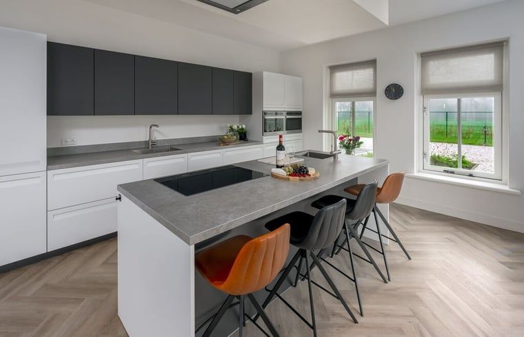 Strakke keuken in vakantiehuisje in Bakkeveen, compleet met moderne apparatuur.