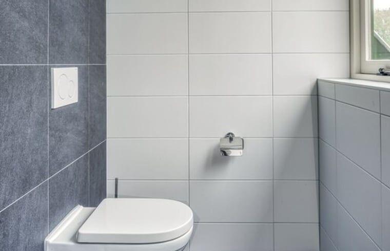 Stijlvolle badkamer met toilet in vakantiehuisje in Bakkeveen, Friesland.