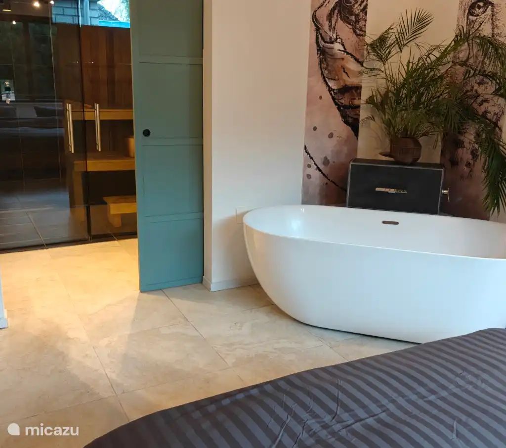 Guest house 231111 - Apartment Friese bossen - Huize Triangel | Studio met sauna