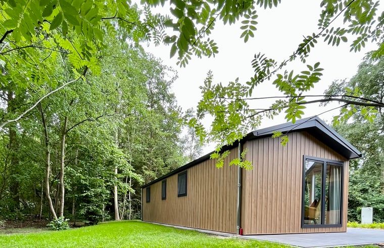 Rustikale Seitenansicht des Ferienhauses in Oosterwolde, umgeben von friesischen Waeldern.