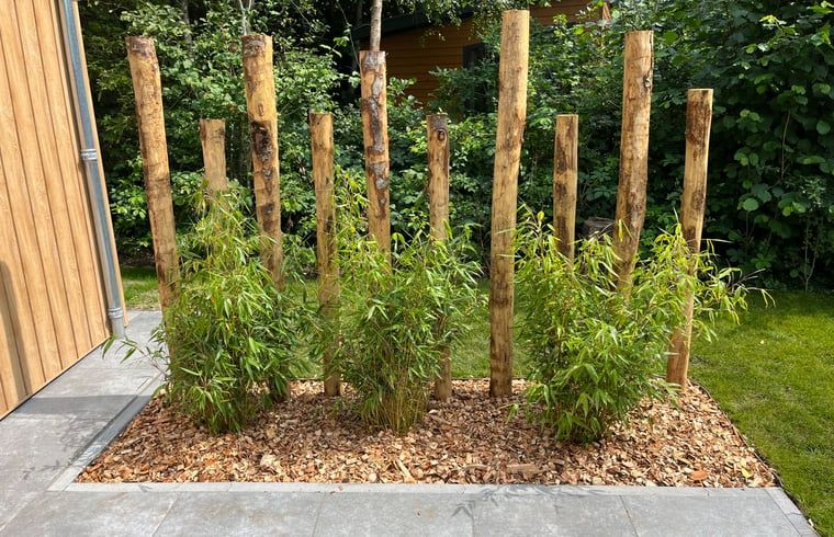 Bambus und Holzpfaehle im Garten des Ferienhauses in Oosterwolde, Friesische Waelder.