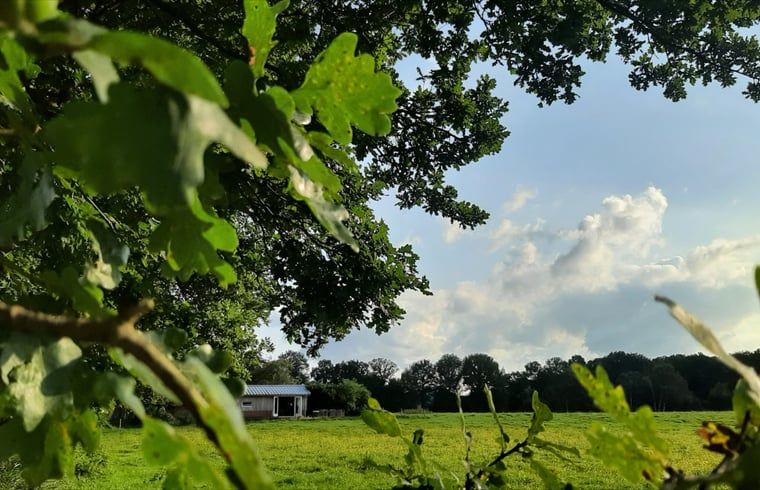 Guest house 231218 - Holiday property Friese bossen - Vakantiehuisje in Oosterwolde