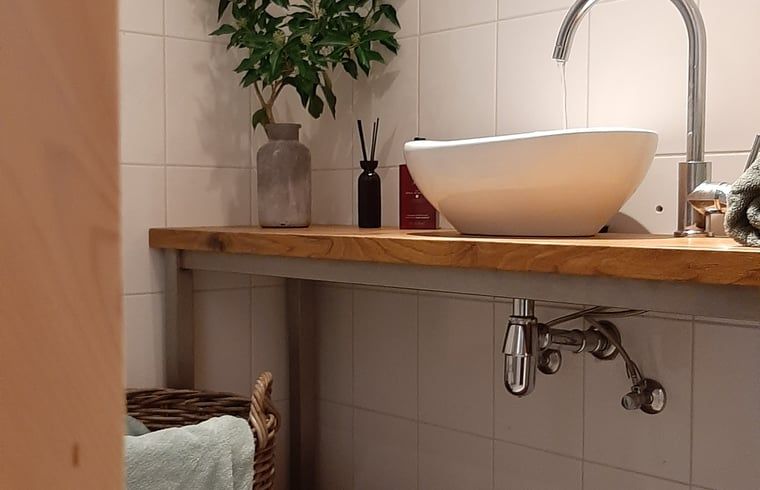 Guest house 231218 - Holiday property Friese bossen - Vakantiehuisje in Oosterwolde