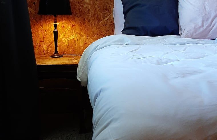 Guest house 231218 - Holiday property Friese bossen - Vakantiehuisje in Oosterwolde