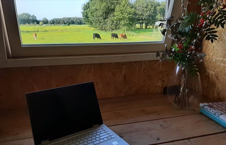 Guest house 231218 - Holiday property Friese bossen - Vakantiehuisje in Oosterwolde
