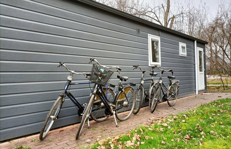 Fahrraeder geparkt im Ferienhaus in Oosterwolde, einer charmanten Unterkunft in den friesischen Waeldern, ideal fuer Naturliebhaber.