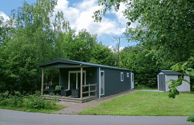 Ferienhaus in Oosterwolde, in den friesischen Waeldern von Friesland gelegen, mit Veranda und gruener Umgebung.