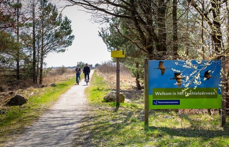 Unterkunft 231223 - Ferienhaus Friese bossen - Vakantiehuisje in Oosterwolde