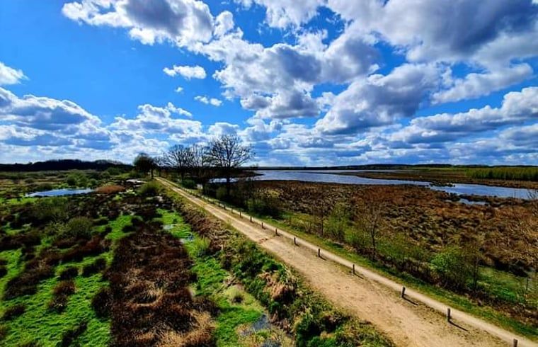 Unterkunft 231223 - Ferienhaus Friese bossen - Vakantiehuisje in Oosterwolde