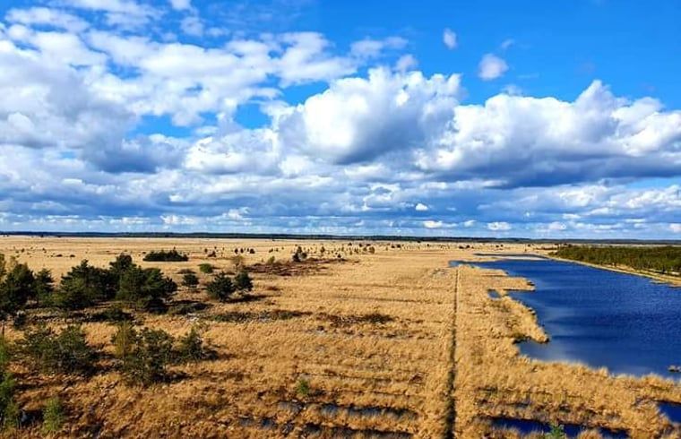 Unterkunft 231223 - Ferienhaus Friese bossen - Vakantiehuisje in Oosterwolde