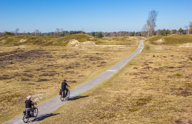 Unterkunft 231223 - Ferienhaus Friese bossen - Vakantiehuisje in Oosterwolde