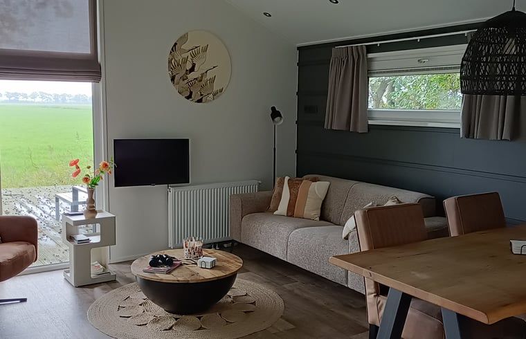 Cozy living room of vacation home in Oosterwolde, Friesland, with a view of the Frisian forests and modern furnishings.