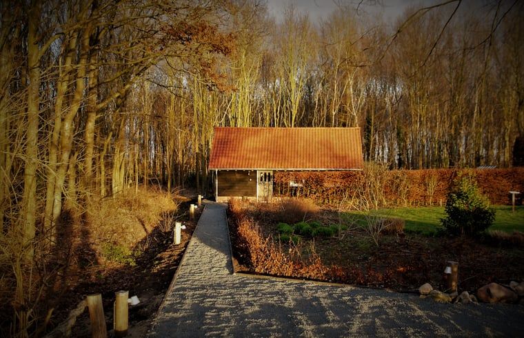 Cottage in Haulerwijk, vacation home in the Frisian woods, surrounded by nature in Friesland.