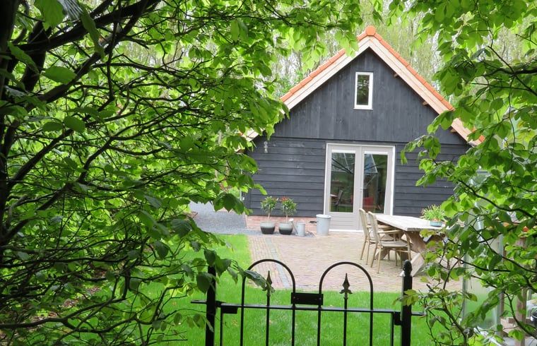 Backyard of Cottage in Haulerwijk, vacation home in Friesland, with terrace and greenery.