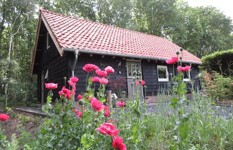 Side view of Cottage in Haulerwijk, vacation home surrounded by flowers in Friesland.
