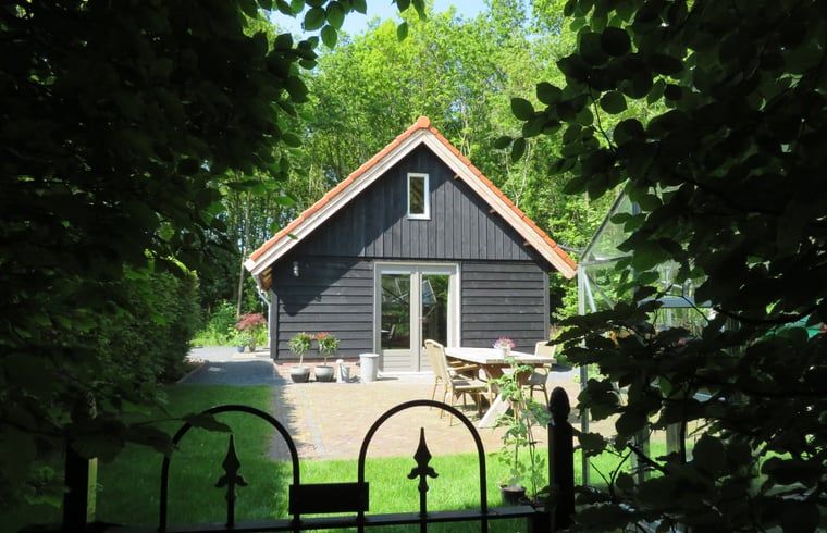 Front yard of Cottage in Haulerwijk, vacation home in the Frisian woods, with terrace.