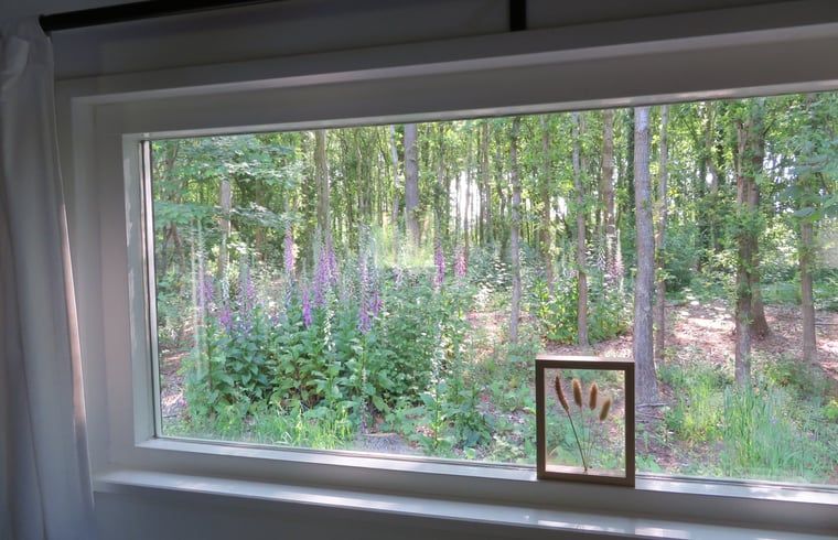 View of forest from Cottage in Haulerwijk, vacation home in Friesland.