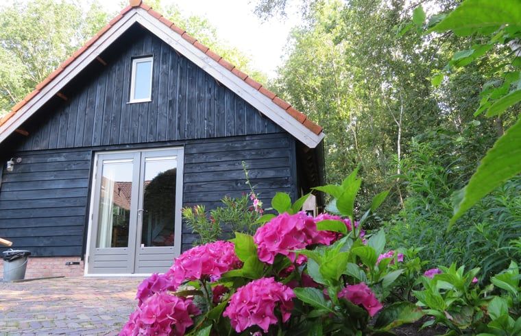 Side view of Cottage in Haulerwijk, vacation home with flowers in Friesland.