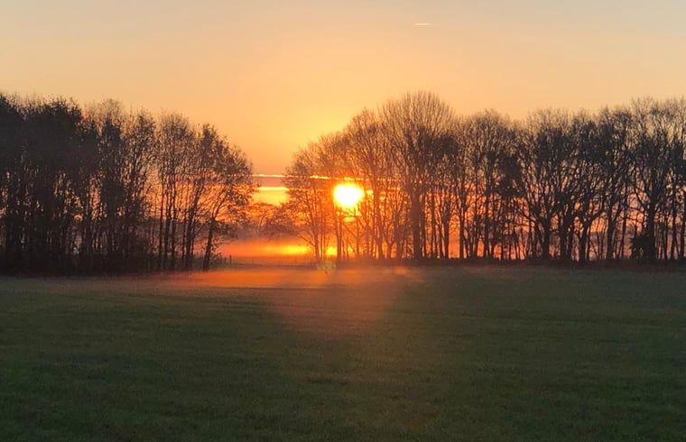 Breathtaking sunset at Cottage in Haulerwijk, vacation home in the Frisian woods.