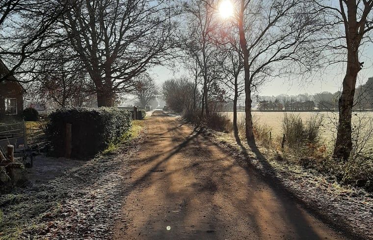 Serene winter landscape around Cottage in Haulerwijk, vacation home in Friesland.