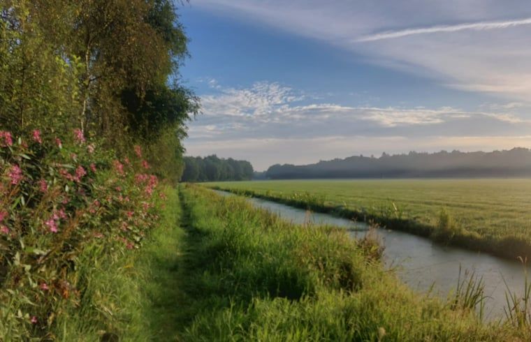 Landschap rondom Vakantiehuis in Haulerwijk, met weelderige groene velden in Friesland.