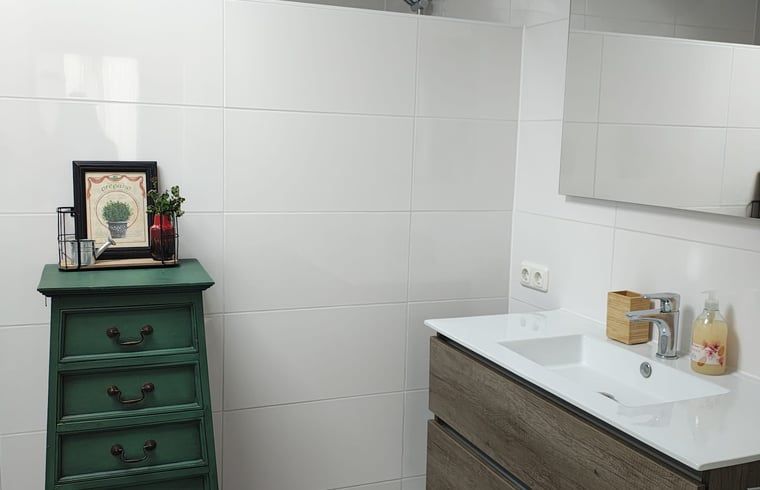 Stijlvolle badkamer in Vakantiehuis in Haulerwijk, gelegen in de Friese bossen.