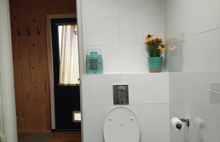 Stijlvolle toiletruimte in Vakantiehuis in Haulerwijk, met modern comfort in Friesland.