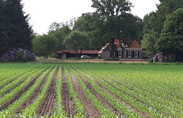 Unterkunft 231502 - Ferienhaus Friese bossen - Huisje in Boijl