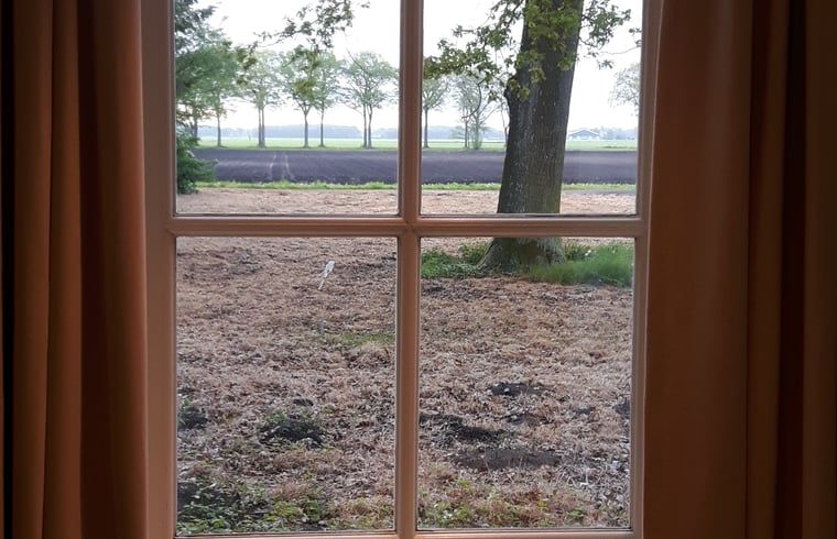Unterkunft 231502 - Ferienhaus Friese bossen - Huisje in Boijl