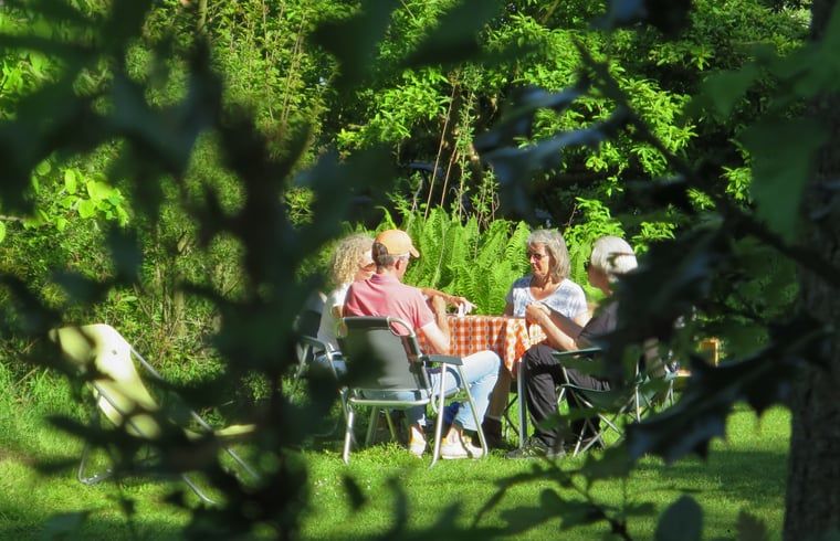 Gezelschap geniet van de tuin bij Vakantiehuisje in Boijl, een oase van rust in Friesland.